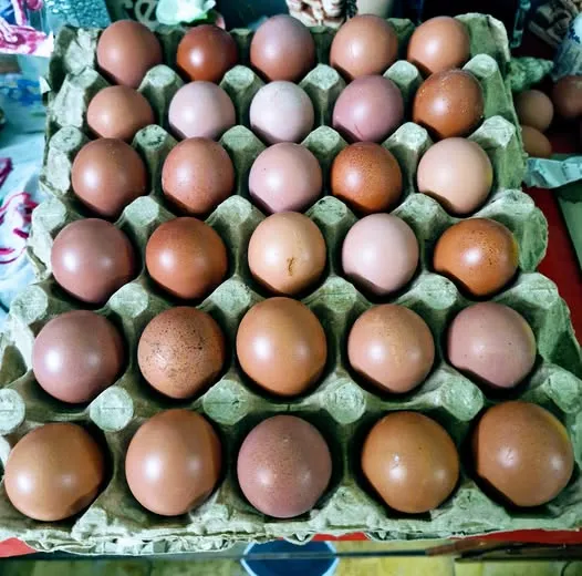 Huevos de gallinas en pastoreo X reja (30 Pza)